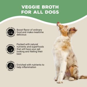 Brutus Broth Instant On The Go Vegetable Powder for Dogs - Vegetable Powder with Omegas 3, 6 & 9 & Turmeric - Human Grade Dog Food Toppers for Dry Food & Picky Eaters - 10 Stick (Salmon Flavor)