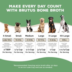 Brutus Broth Instant On The Go Vegetable Powder for Dogs - Vegetable Powder with Omegas 3, 6 & 9 & Turmeric - Human Grade Dog Food Toppers for Dry Food & Picky Eaters - 10 Stick (Salmon Flavor)