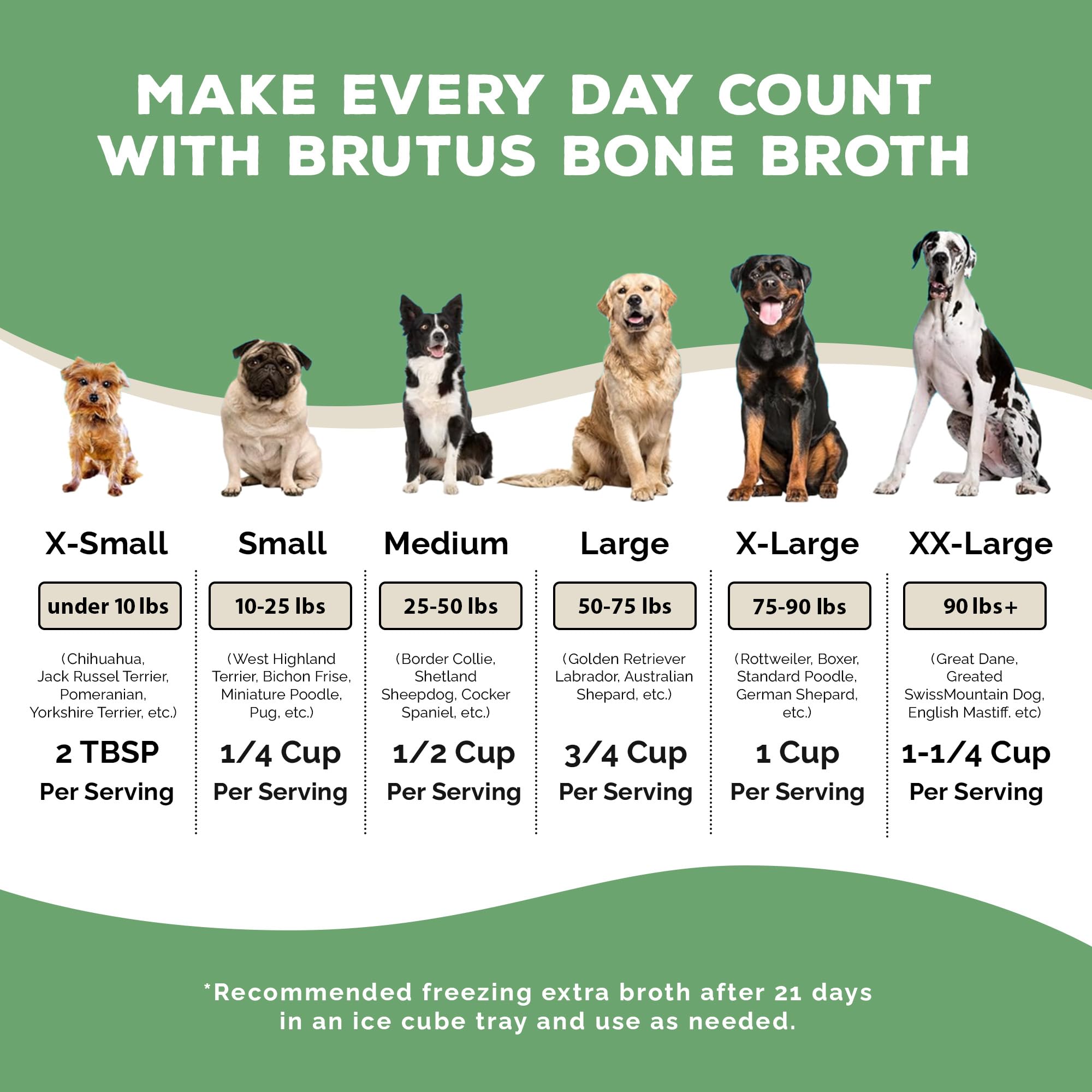 Brutus Broth Instant On The Go Vegetable Powder for Dogs - Vegetable Powder with Omegas 3, 6 & 9 & Turmeric - Human Grade Dog Food Toppers for Dry Food & Picky Eaters - 10 Stick (Salmon Flavor)