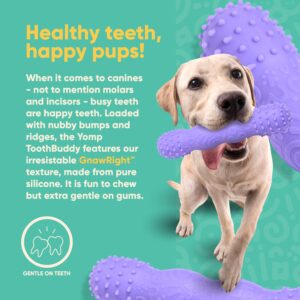 Yomp ToothBuddy Dog Dental Chew Toy - Dog Teething Toy for Soft & Medium Chewers - Dog Toy Bone - Chewing Toy for Dogs - Pet-Safe, Non-Toxic Silicone Dog Toy