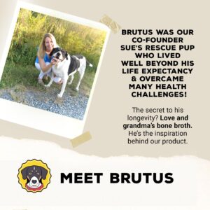 Brutus Broth Instant On The Go Vegetable Powder for Dogs - Vegetable Powder with Omegas 3, 6 & 9 & Turmeric - Human Grade Dog Food Toppers for Dry Food & Picky Eaters - 10 Stick (Salmon Flavor)