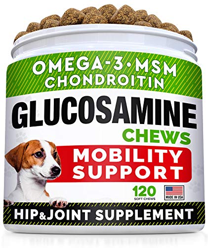 Glucosamine Treats + Allergy Relief Dog Bundle - Joint Supplement w/Omega-3 Fish Oil + Itchy Skin Relief - Chondroitin, MSM + Pumpkin, Enzymes, Turmeric - Skin & Coat - Bacon Flavor + Vegetable Chews