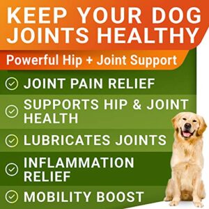 Glucosamine Treats + Allergy Relief Dog Bundle - Joint Supplement w/Omega-3 Fish Oil + Itchy Skin Relief - Chondroitin, MSM + Pumpkin + Enzymes + Turmeric - Skin & Coat - 120+240 Chews - Made in USA