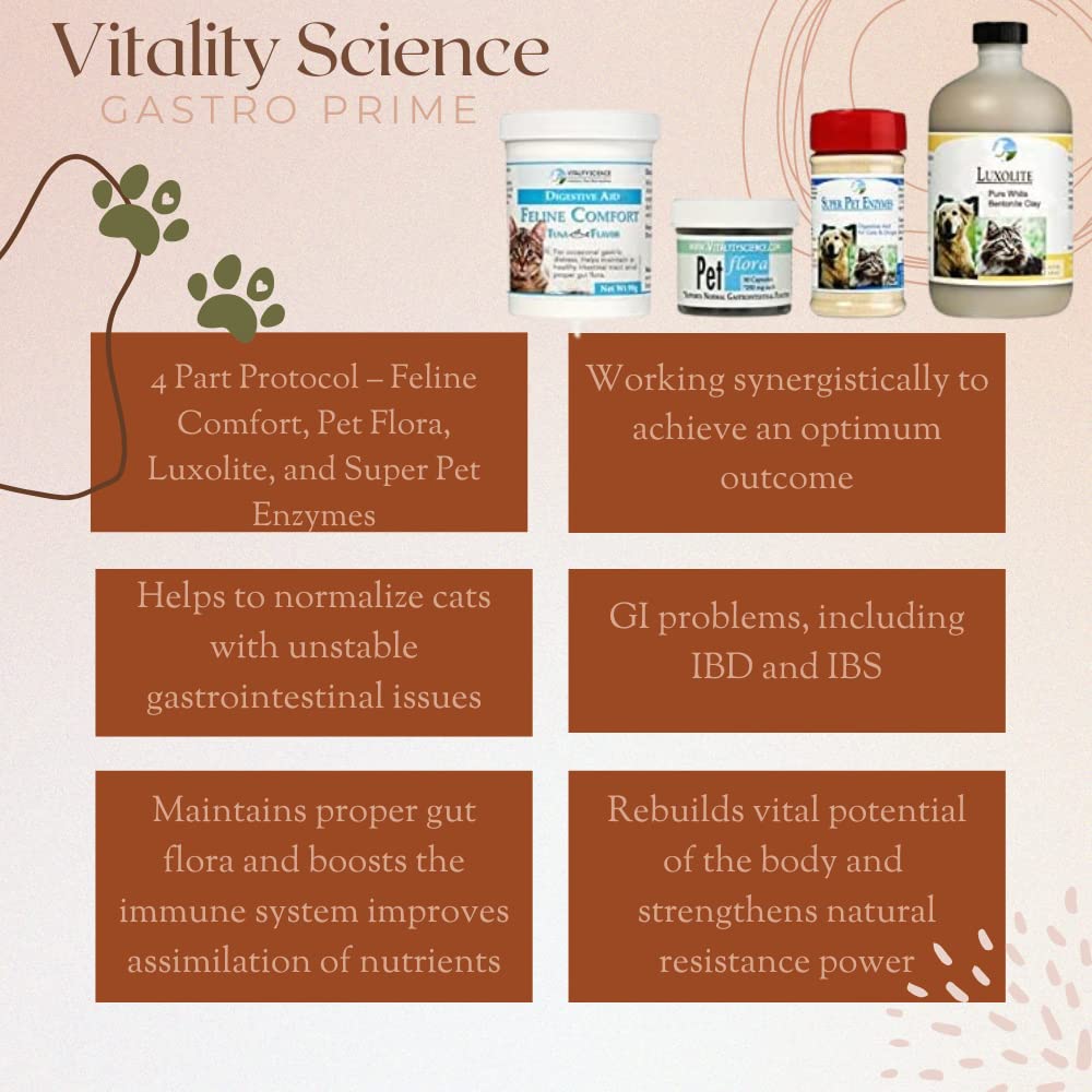 Vitality Science - Gastro Prime Combo for Cats | Supports Normal GI Function and Improves Nutrient Assimilation