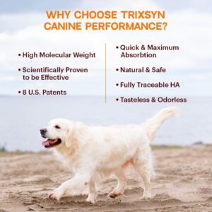 TRIXSYN Canine Performance - Dog Hip & Joint Supplement - Enhance Joint Pain Relief for Small, Large & Senior Dogs - Patented MHB3 Hylauronan Liquid Formula - 72 Day Supply