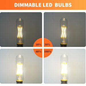 ALAMPEVER 5.5W (60W Equivalent) Dimmable T6 LED Edison Bulbs, E12 Candelabra Base, 5000K Daylight, CRI90, 550LM, Clear Vintage Tubular Bulb, 6-Pack