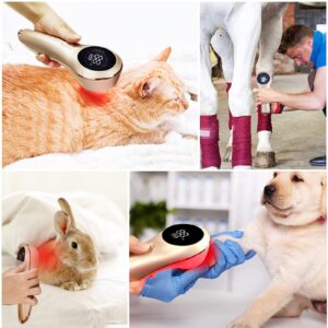 Coldlaser Veterinary Physiotherapy Vet Use Device, Muscle & Joint Pain Relieve Treat Arthritis, Portable Infrared Red Light Machine with 5*808nm & 11*650nm Wavelength for Pet Dog, Cat, Horse, Cattle