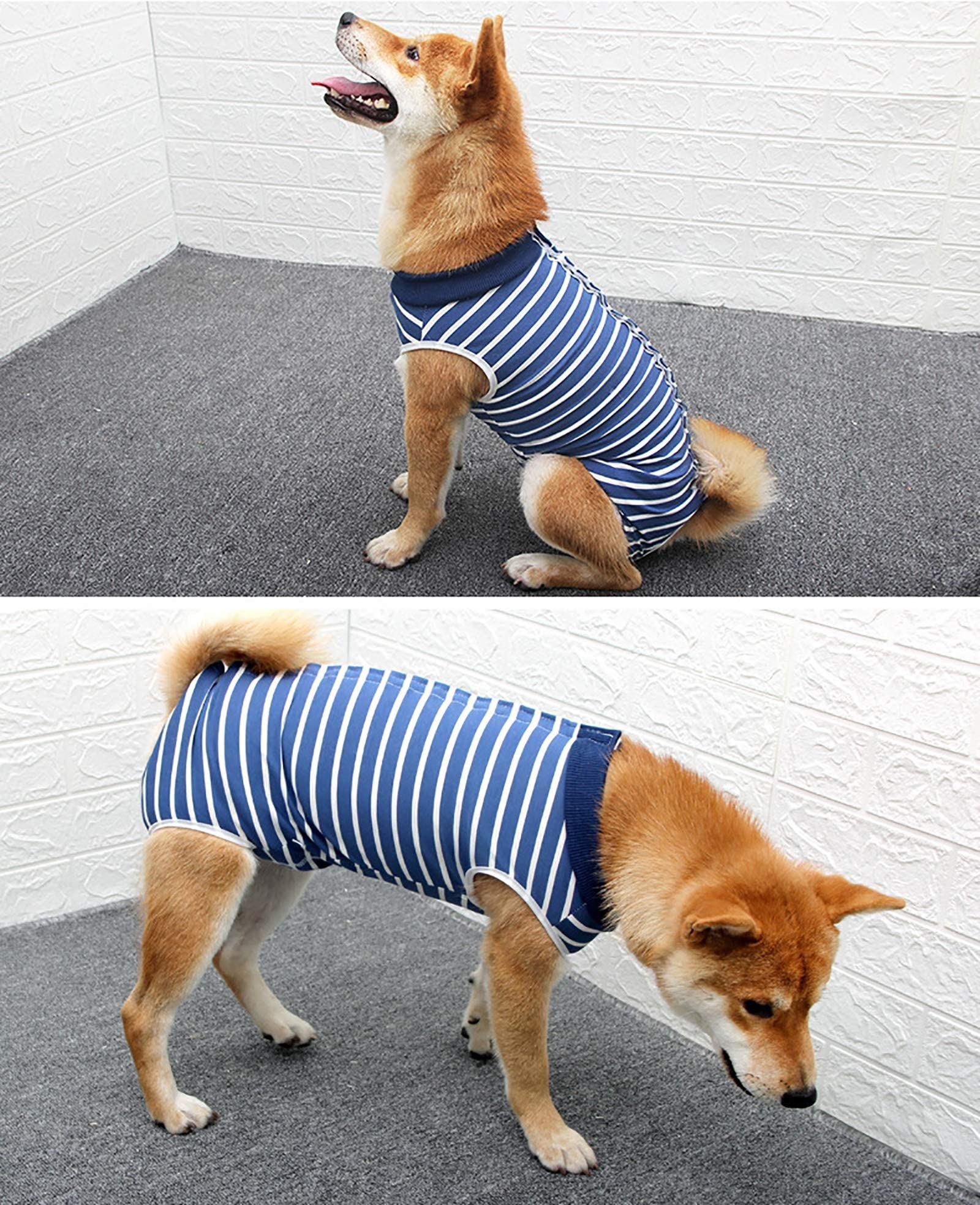 COCHPR Surgery Suit for Dogs Recovery Suit Abdominal Wound Puppy Surgical Clothes Post-Operative Vest Pet After Surgery Wear Substitute (XXXL, Blue and White)