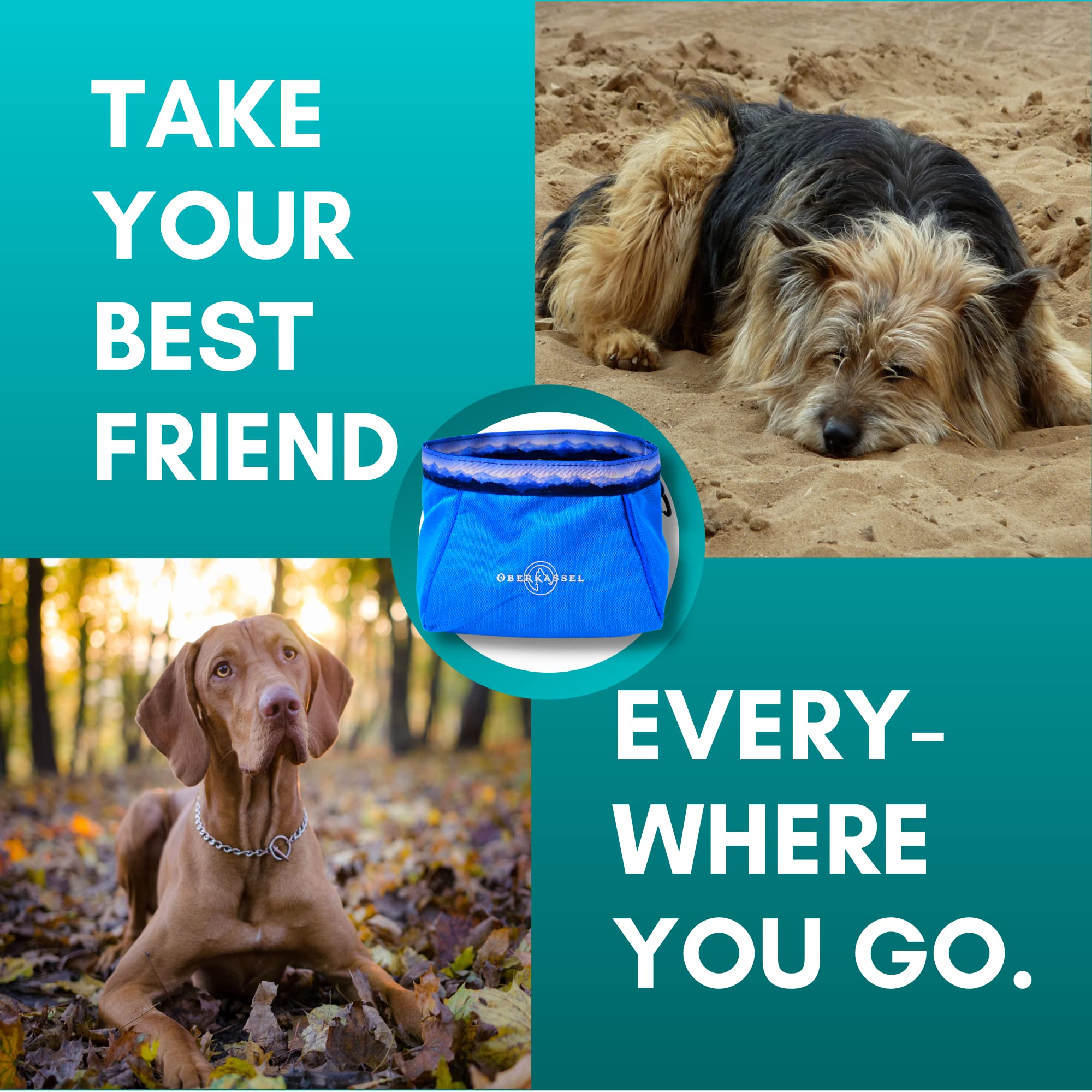 OBERKASSEL Glacier Travel Bowl for Watering & Feeding - Pet Travel Bag Accessory for Camping, Hiking, & Backpacking - Leak Proof Food Container for Dogs & Cats - Portable Pet Supplies