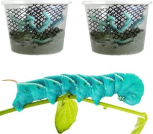 surmen legacy live hornworms 2 habitats (50-60 count)