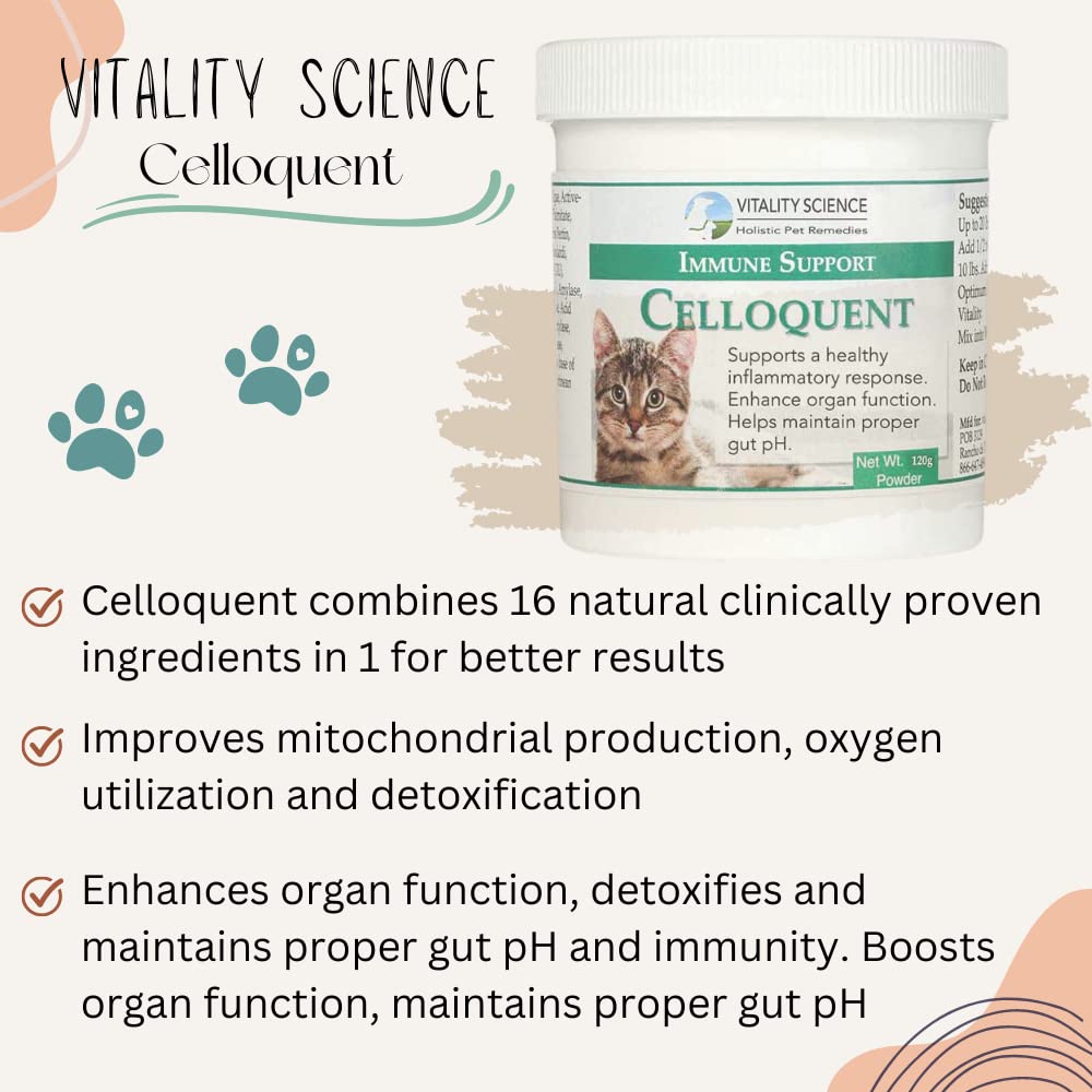 Vitality Science Celloquent for Cats | Enhanced Immune Support Formula | Maintains Proper Gut pH | Boosts Organ Function | Aids Cleansing and Healthy Inflammatory Response