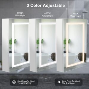 Mepplzian Medicine Cabinet with Lights Bathroom Medicine Cabinet with Mirror Wall Mounted Lighted Illuminated Mirror Cabinet with Storage,Brightness Adjustable,Not Recessed 27.5 X19.6 Inch