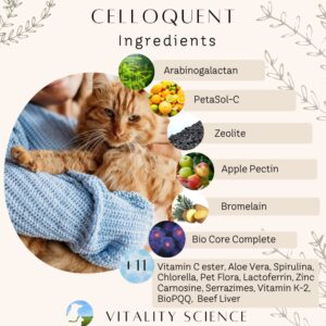 Vitality Science Celloquent for Cats | Enhanced Immune Support Formula | Maintains Proper Gut pH | Boosts Organ Function | Aids Cleansing and Healthy Inflammatory Response