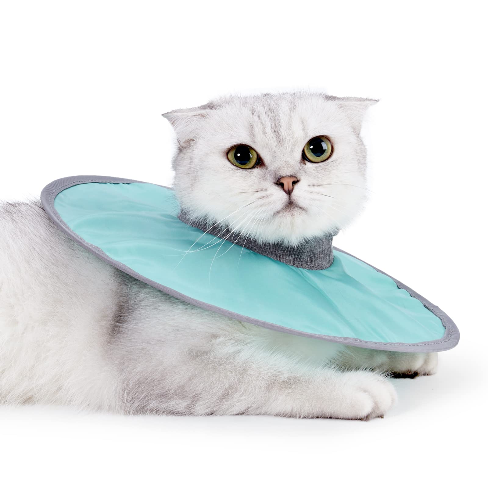 BECHANMIG Cat Recovery Collar Pet Cone Collar After Surgery Protective Cotton Cone, Adjustable Cat E Collar, Surgery Recovery Elizabethan Collars for Kitten and Cats, Green L