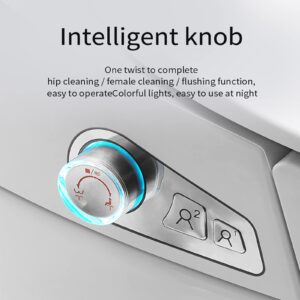 Modern Intelligent Smart Toilet, One-Piece Dual Flush,Comfort Height Toilet Warm Dryer,Automatic Energy Saving System | Advance Bidet and Soft Closing Seat