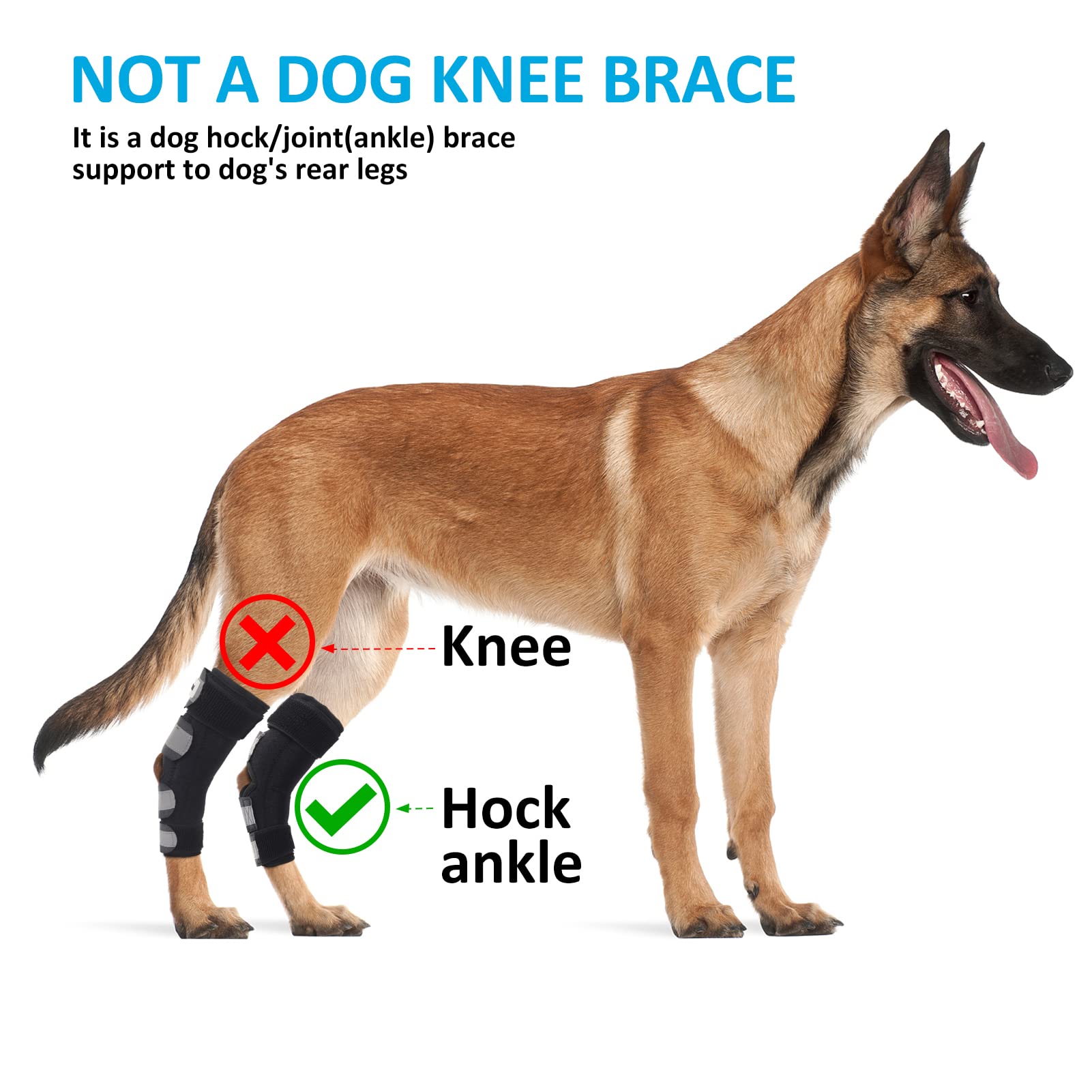 Bawektrl Dog Leg Braces for Back Legs,ACL Brace for Large Dogs Rear Legs, Joint Compression Warps Support for Hind Leg with Injury Sprain, Wound Care and Loss of Stability from Arthritis (1 Pair)