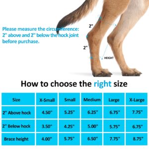 Bawektrl Dog Leg Braces for Back Legs,ACL Brace for Large Dogs Rear Legs, Joint Compression Warps Support for Hind Leg with Injury Sprain, Wound Care and Loss of Stability from Arthritis (1 Pair)