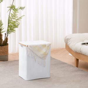 66L Laundry Hamper with Lid and Liner Bag, 19.7" Tall Laundry Basket with Handle, Waterproof and Collapsible Cloth Hamper for Bedroom and Bathroom, White