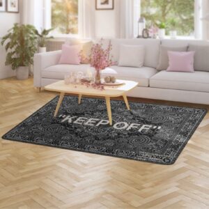 YIKUDU Keep Off Large Rugs Floor Mat Modern Carpet for Home Decoration Area Rug,Cozy Art Decoration Polyester Carpet 63 x 47 inch