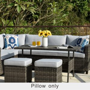 HOOOWOOO Outdoor Patio Throw Pillows Set of 2 with Inserts,Small Firm toss Decorative Pillow Weather Resistant for Indoor Outdoor Chair, Sofa Furniture,17x17,14x14x5,Blue Flower