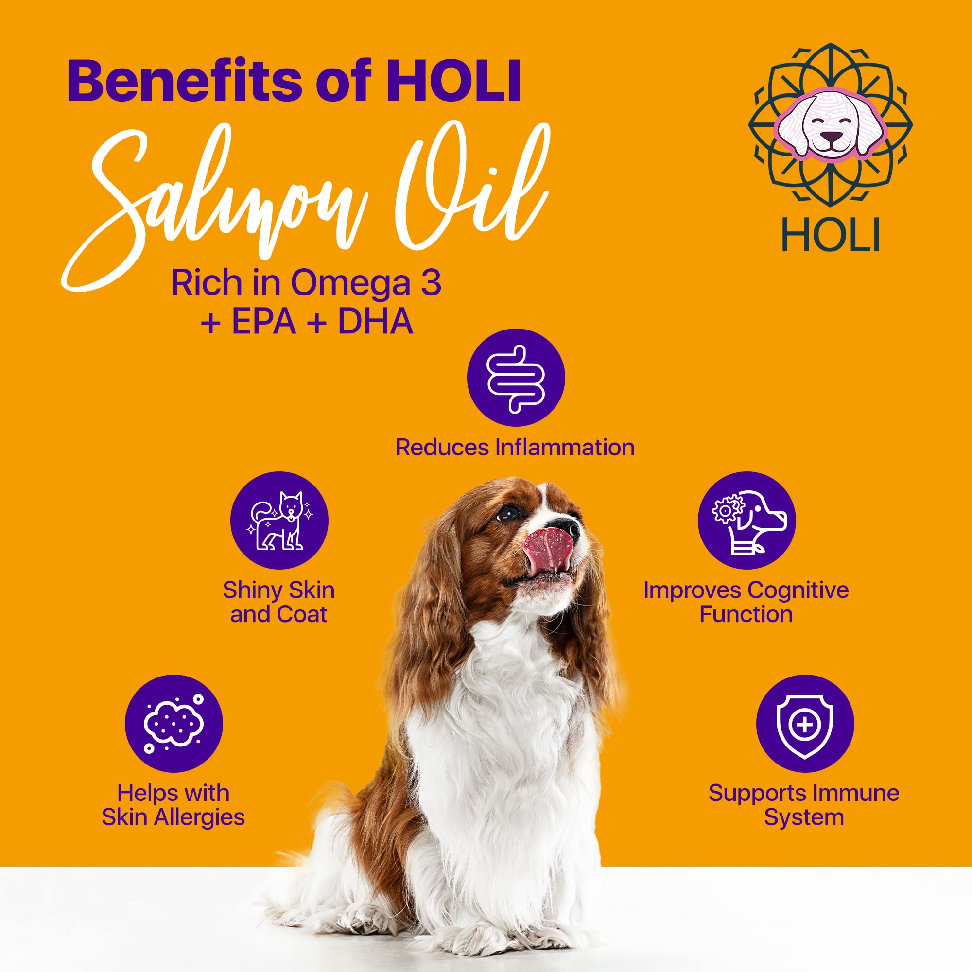 HOLI Salmon Oil for Dogs Skin and Coat | Icelandic Fish Oil for Cats & Dogs | Omega 3 EPA + DHA Supports Joint Mobility, Immune & Heart Health