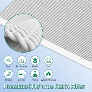 5 Pack C545 Replacement Filter Compatible with C545, Part number 1712-0096-00, Ture Post Filter S Only