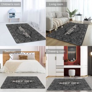 YIKUDU Keep Off Large Rugs Floor Mat Modern Carpet for Home Decoration Area Rug,Cozy Art Decoration Polyester Carpet 63 x 47 inch