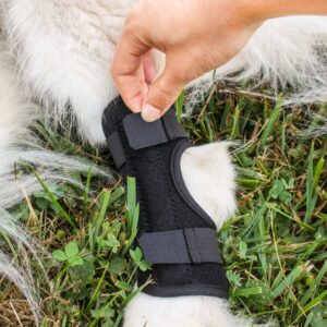 MiMu Rear Dog Leg Brace - 2pk Canine Hock Brace for Small to Medium Sized Dogs - Recovery Dog Hind Leg Support Brace