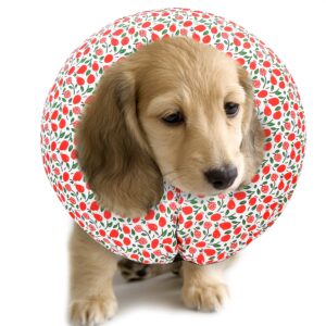 purrrfect life protective inflatable collar for dogs and cats - soft pet recovery collar does not block vision, prevents pets from touching stitches, wounds and rashes (floral - 1, neck 6" - 8")