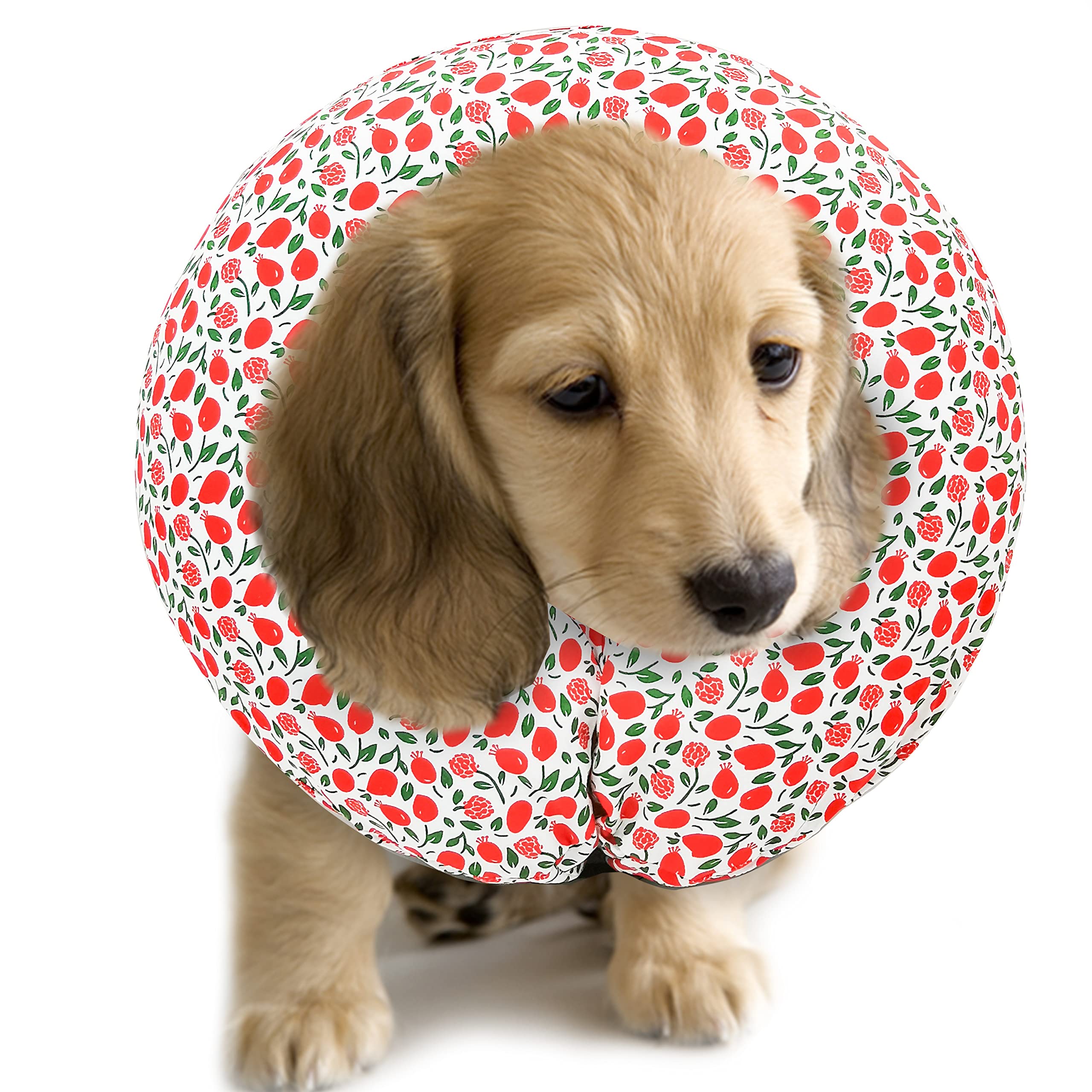 Purrrfect Life Protective Inflatable Collar for Dogs and Cats - Soft Pet Recovery Collar Does Not Block Vision, Prevents Pets from Touching Stitches, Wounds and Rashes (Floral - 1, Neck 6" - 8")