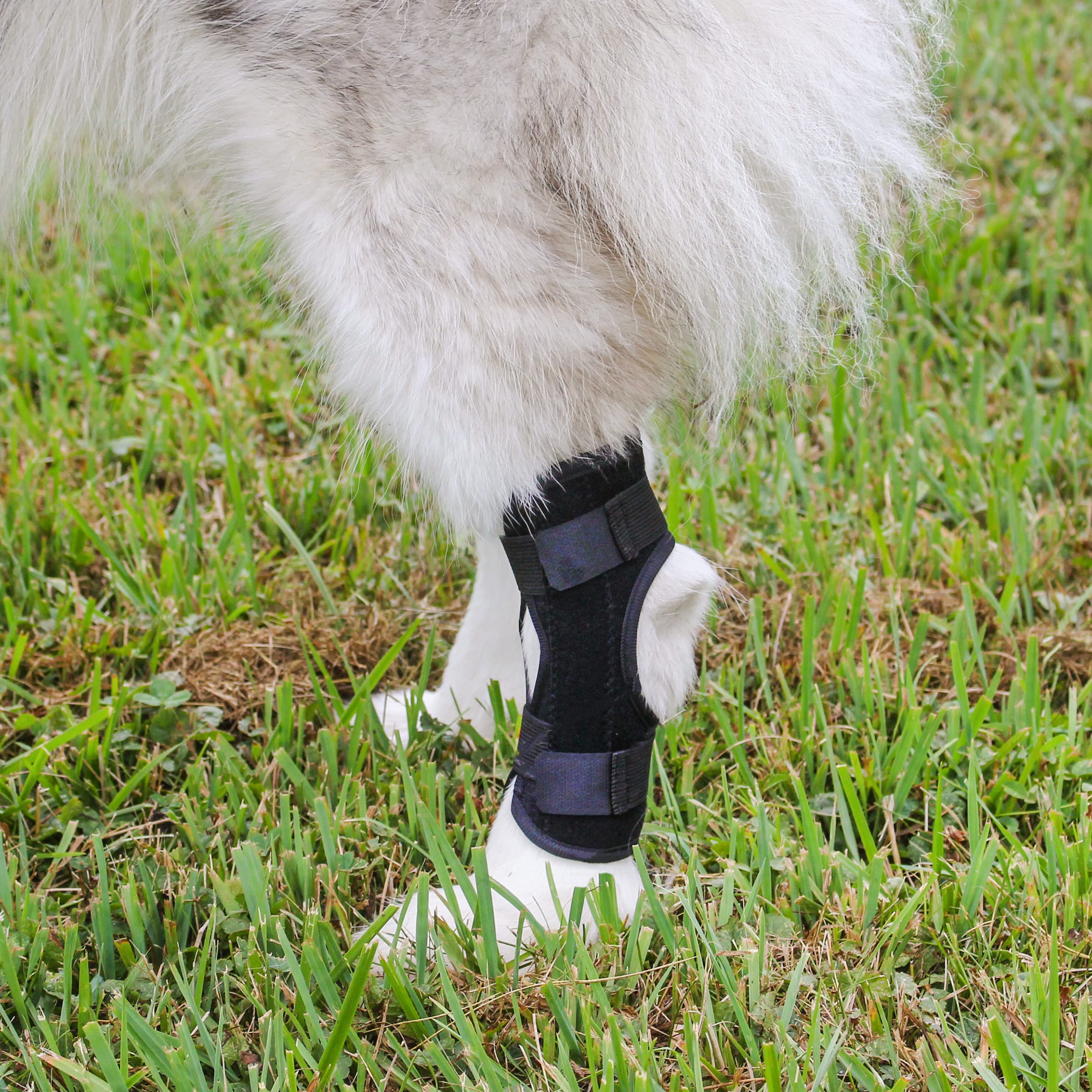 MiMu Rear Dog Leg Brace - 2pk Canine Hock Brace for Small to Medium Sized Dogs - Recovery Dog Hind Leg Support Brace