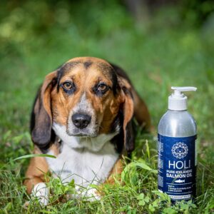 HOLI Salmon Oil for Dogs Skin and Coat | Icelandic Fish Oil for Cats & Dogs | Omega 3 EPA + DHA Supports Joint Mobility, Immune & Heart Health