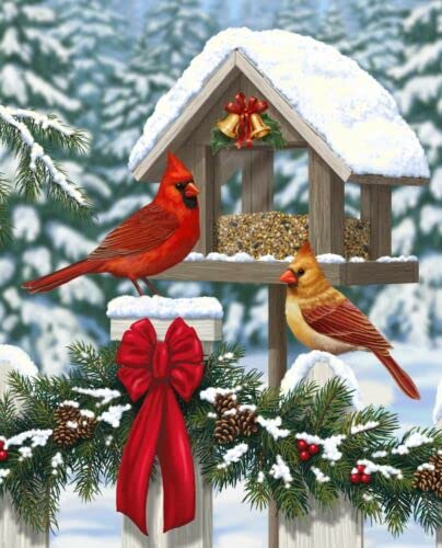 for Sewing, Embroidery and Quilting 100% 44/45` Wide 35" c Panel | Digital Christmas Feast Birdhouse CardinalQ