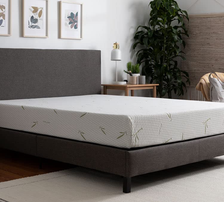 Tulo 8" Medium Comfort Memory Foam Bamboo Pressure Relief Mattress in a Box | Twin XL Size