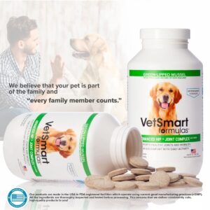 Joint Supplement for Dogs - Green Lipped Mussel, MSM + Glucosamine Formula - Helps to Restore Mobility, Relieve Arthritis & Hip Dysplasia Pain, Reduce Inflammation, No Artificial Flavors