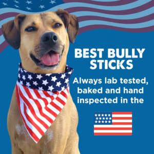 Best Bully Sticks 100% Beef Bully Stick Char Burger Slider Crunchy Dog Treats - Made of All-Natural Bully Sticks - Bite-Sized & Easily digestible - 0.5 lb Bag