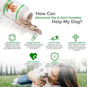 Joint Supplement for Dogs - Green Lipped Mussel, MSM + Glucosamine Formula - Helps to Restore Mobility, Relieve Arthritis & Hip Dysplasia Pain, Reduce Inflammation, No Artificial Flavors