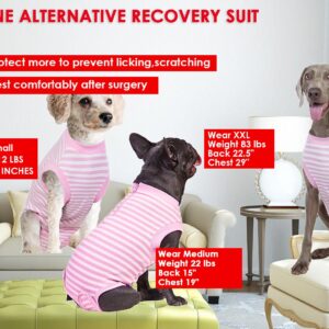 Wabdhally Dog Surgery Recovery Suit for Female Spay,Surgical Suit for Large Female Dogs Labrador,Soft Combed Cotton,Striped Pink Onesie XXXL