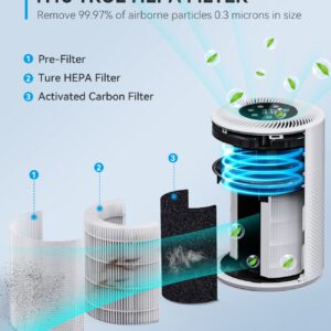 Air Purifier Filter for Tailulu 160 Air Purifier, 3-in-1 True H13 HEPA Filter, 1 Pack