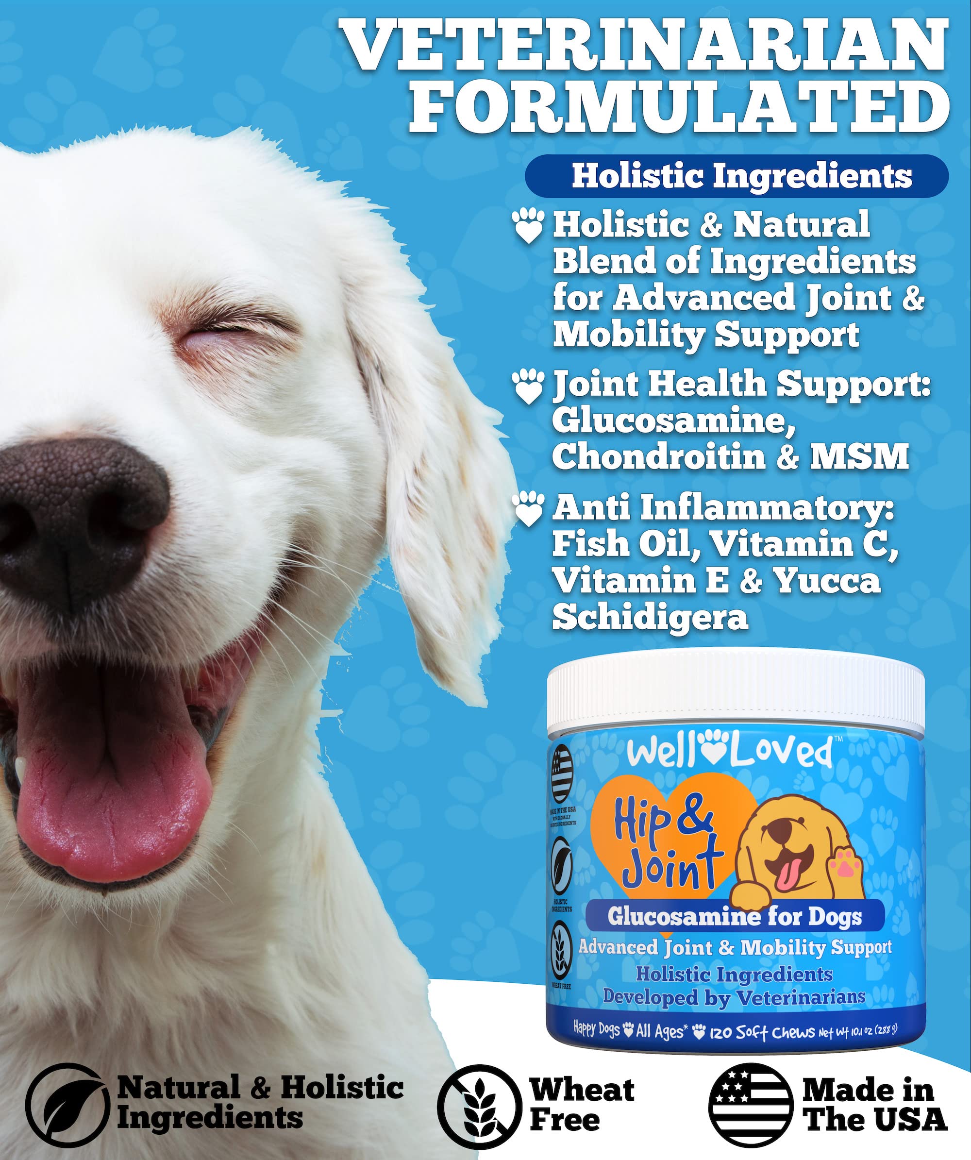 Well Loved Probiotics for Dogs and Joint Supplement for Dogs, Well Loved Dog Chews, Made in USA, Vet Developed, Dog Probiotic Chews, Glucosamine for Dogs