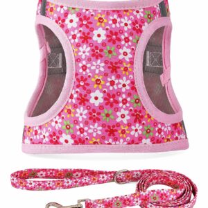 Moonpet Step in Air Dog Harness Leash Set- All Weather Reflective No-Pull Floral Pattern Padded Mesh Vest Harness for Cats Puppy Extra-Small Small Medium Large Dogs - Pink Flower - XXS