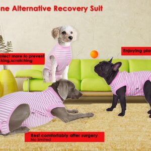 Wabdhally Dog Surgery Recovery Suit for Female Spay,Surgical Recovery Suit for Small Female Dogs,Soft Combed Cotton,Striped Pink Onesie S