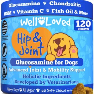 Well Loved Probiotics for Dogs and Joint Supplement for Dogs, Well Loved Dog Chews, Made in USA, Vet Developed, Dog Probiotic Chews, Glucosamine for Dogs