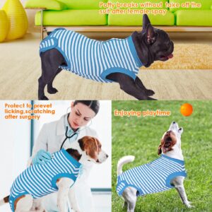 Wabdhally Dog Surgery Recovery Suit,Surgical Suit for Small Female Spay,Soft Combed Cotton,Blue Striped Zipper Onesie XS