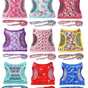 Moonpet Step in Air Dog Harness Leash Set- All Weather Reflective No-Pull Floral Pattern Padded Mesh Vest Harness for Cats Puppy Extra-Small Small Medium Large Dogs - Pink Flower - XXS