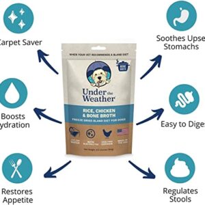 Under the Weather Easy to Digest Bland Diet for Sick Dogs - Always Be Ready - Contains Electrolytes - Gluten Free, All Natural, Freeze Dried 100% Human Grade Meats - Chicken, Rice & Bone Broth