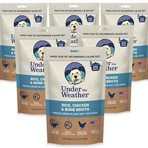 Under the Weather Easy to Digest Bland Diet for Sick Dogs - Always Be Ready - Contains Electrolytes - Gluten Free, All Natural, Freeze Dried 100% Human Grade Meats - Chicken, Rice & Bone Broth