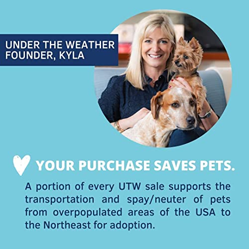 Under the Weather Easy to Digest Bland Diet for Sick Dogs - Always Be Ready - Contains Electrolytes - Gluten Free, All Natural, Freeze Dried 100% Human Grade Meats - Chicken, Rice & Bone Broth