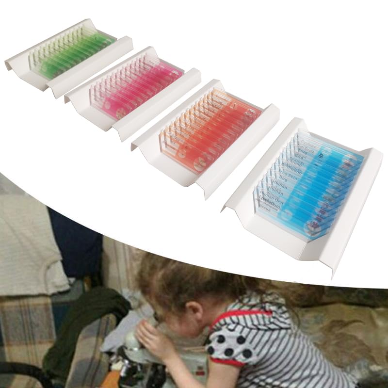 48pcs Kids Plastic Prepared Microscope Slides of Animals Insects Plants Flowers Sample Specimens for Microscopes