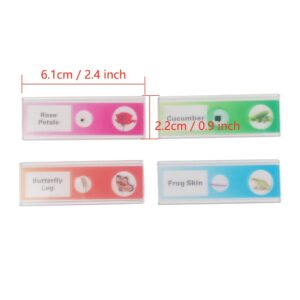 48pcs Kids Plastic Prepared Microscope Slides of Animals Insects Plants Flowers Sample Specimens for Microscopes